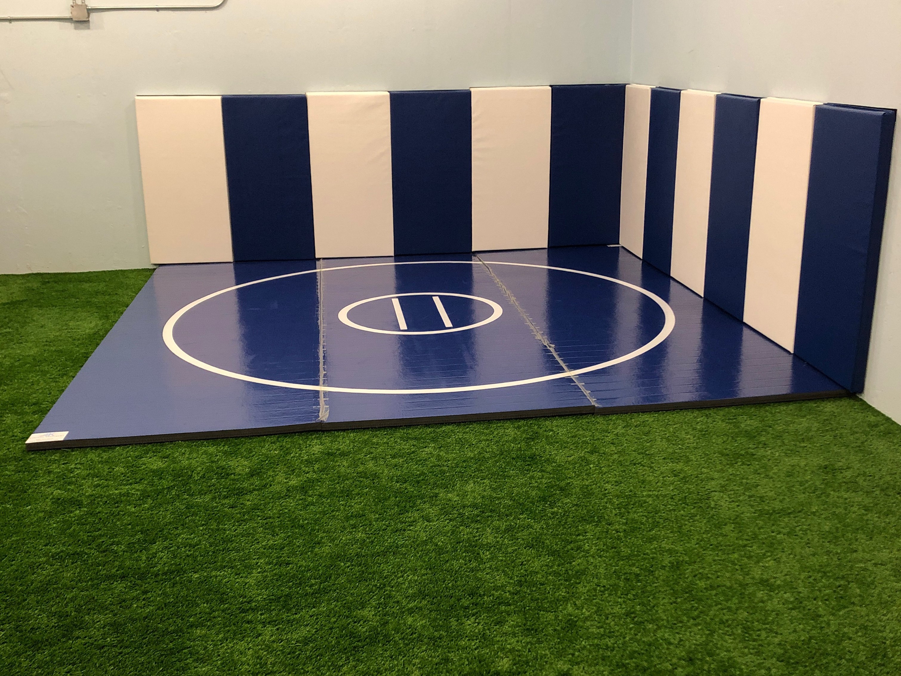 Instant Wrestling Room 12' x 12' wrestling mat and Removable Roll Up Wall Pads Package
