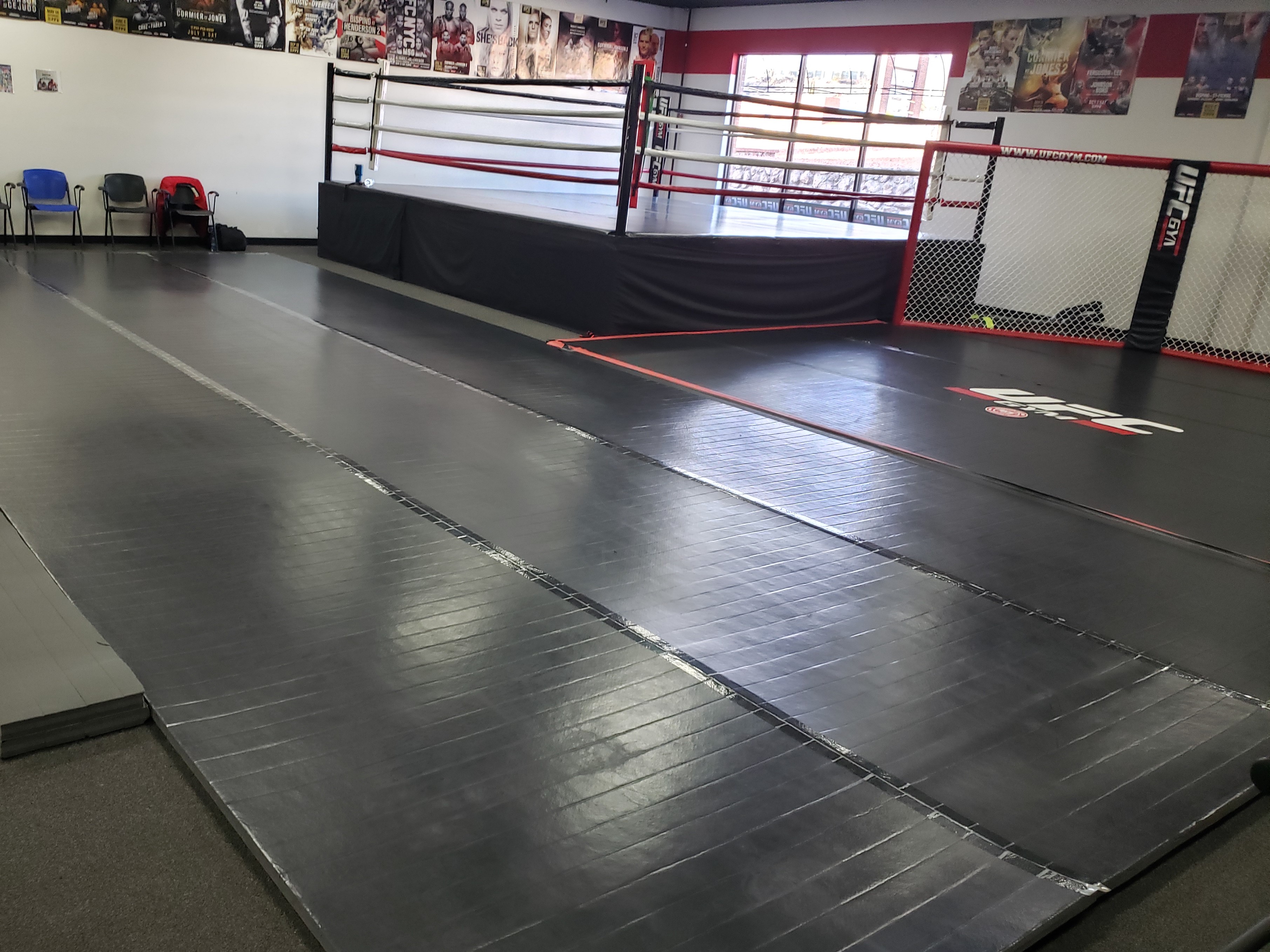 UFC gym mats
