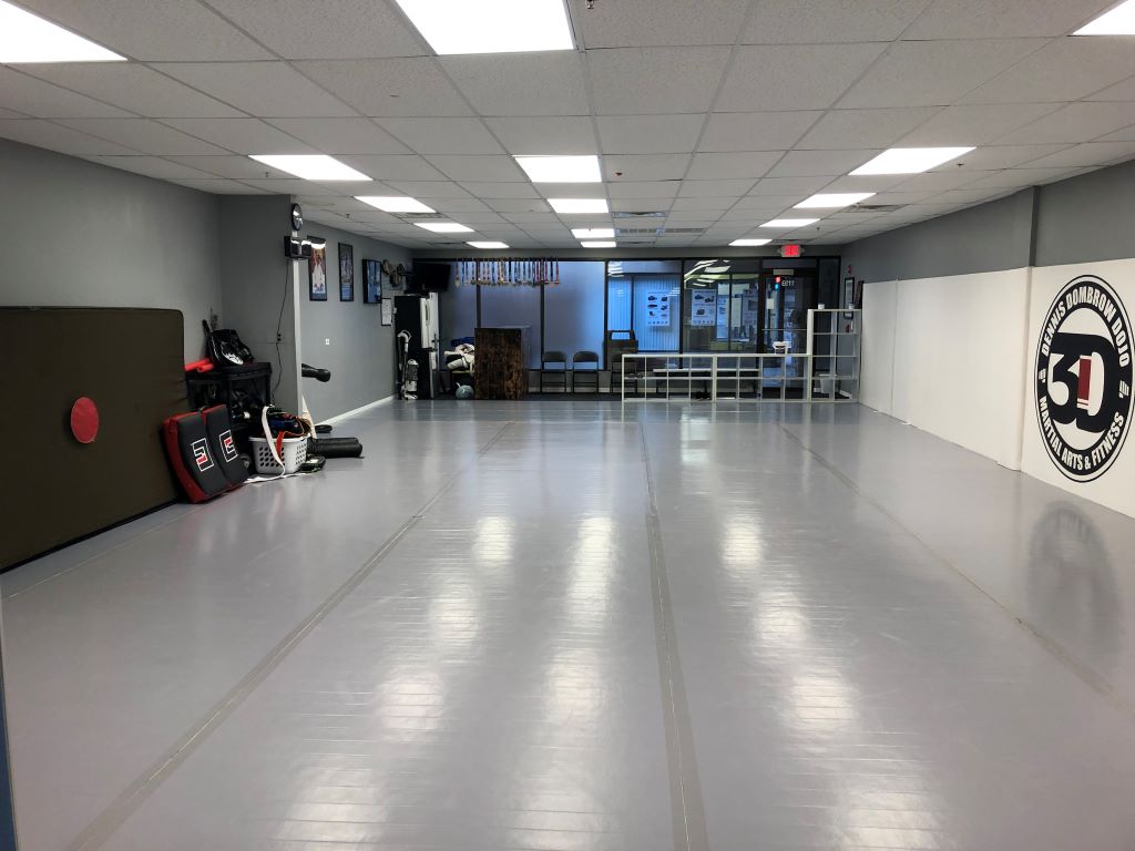 3D MMA grappling room